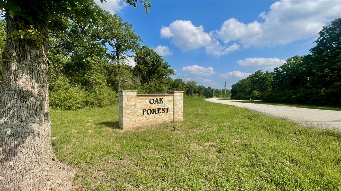 Tbd Tbd Franklin, TX 77856 - Photo 3 of 11 Oak Forest Subdivision Entrance