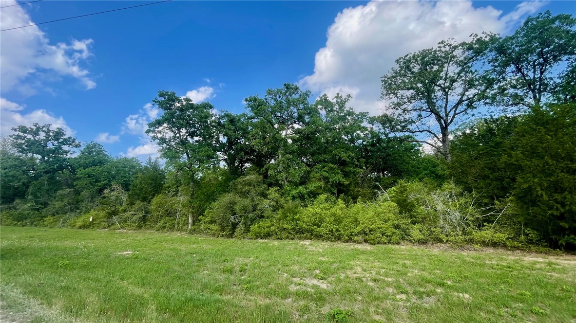 Tbd Tbd Franklin, TX 77856 - Photo 4 of 11 Tract 18