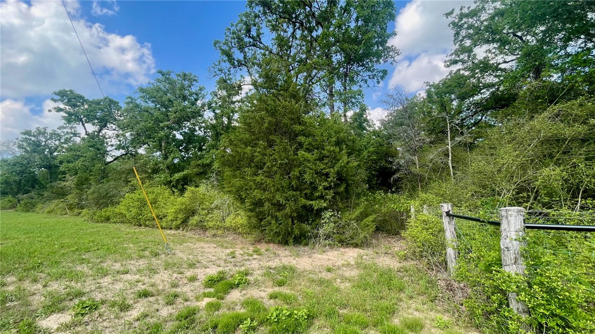 Tbd Tbd Franklin, TX 77856 - Photo 5 of 11 South corner of Tract 18