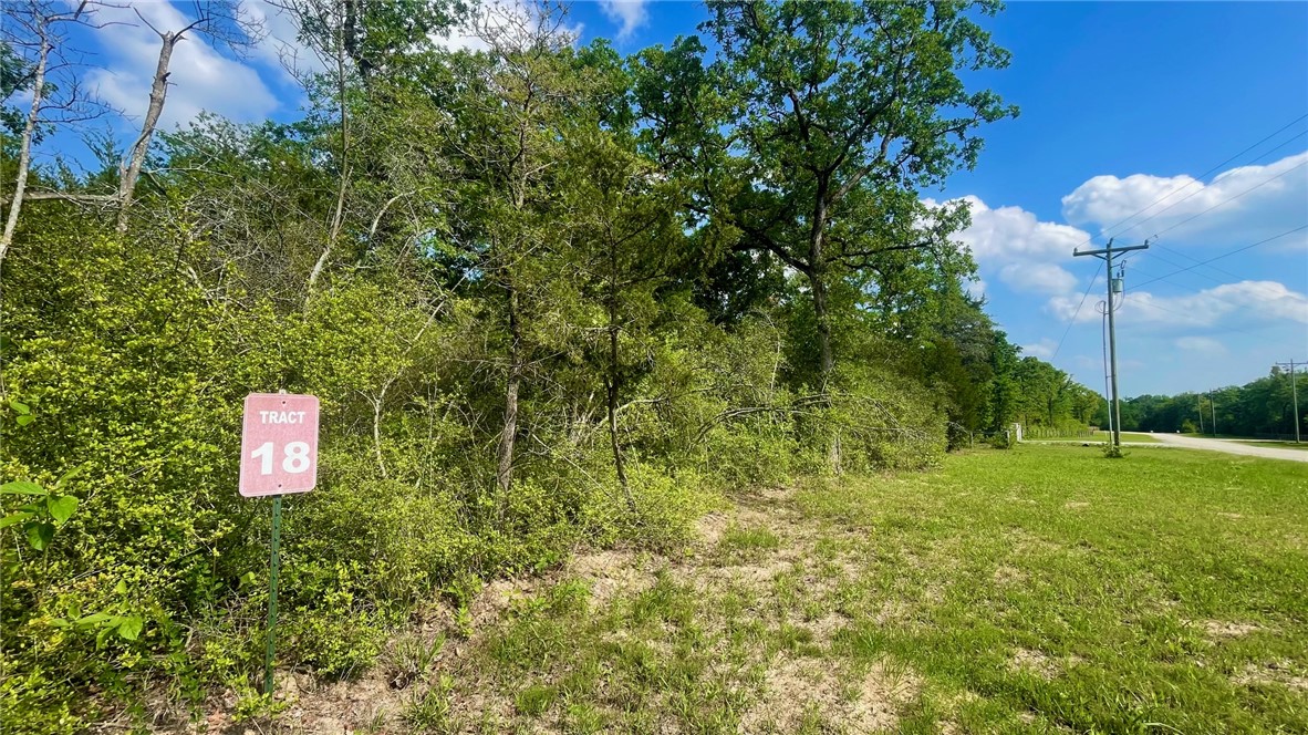 Tbd Tbd Franklin, TX 77856 - Photo 6 of 11