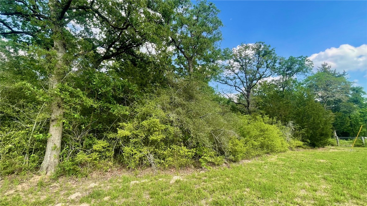 Tbd Tbd Franklin, TX 77856 - Photo 7 of 11