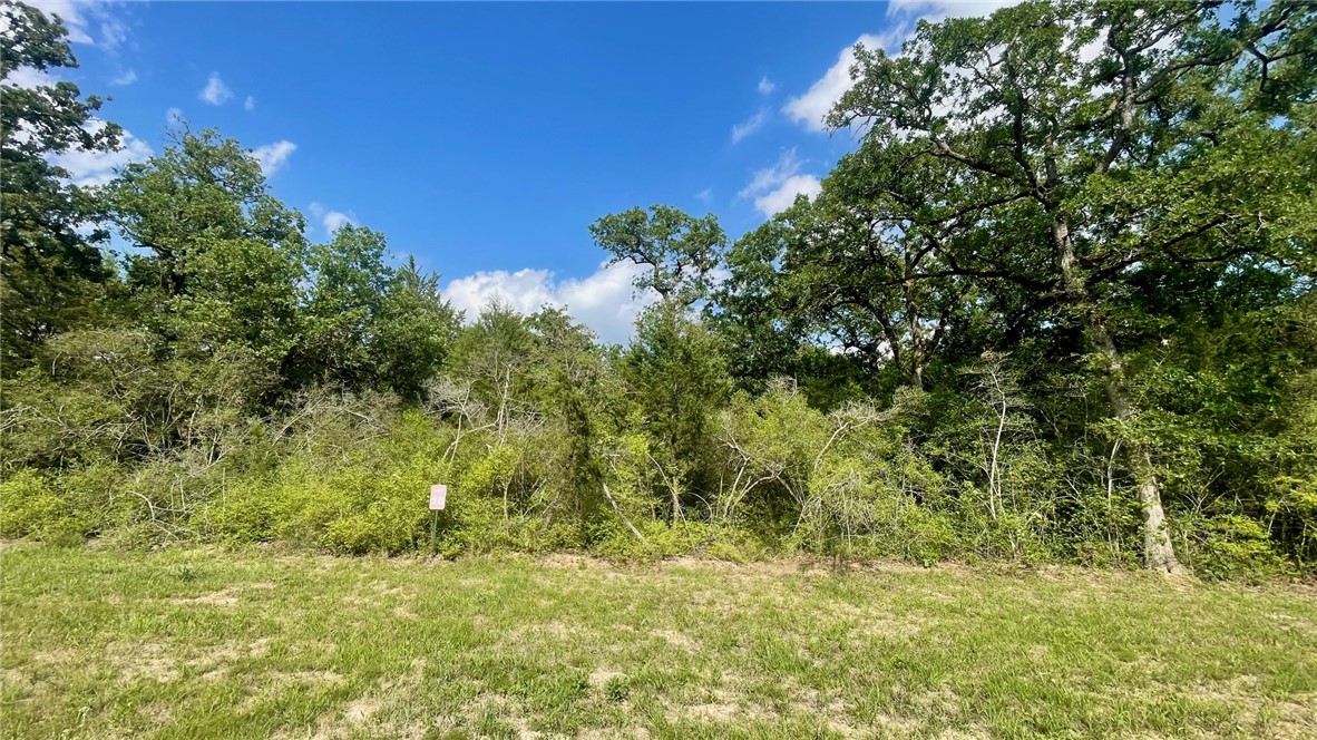 Tbd Tbd Franklin, TX 77856 - Photo 8 of 11