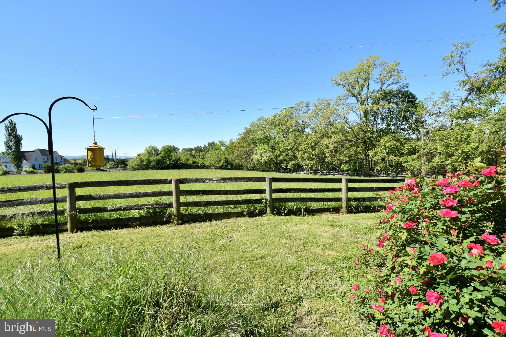 2011 Salem Church Road Stephens City, VA 22655 - Photo 28 of 30 View from Patio, Fenced Pasture
