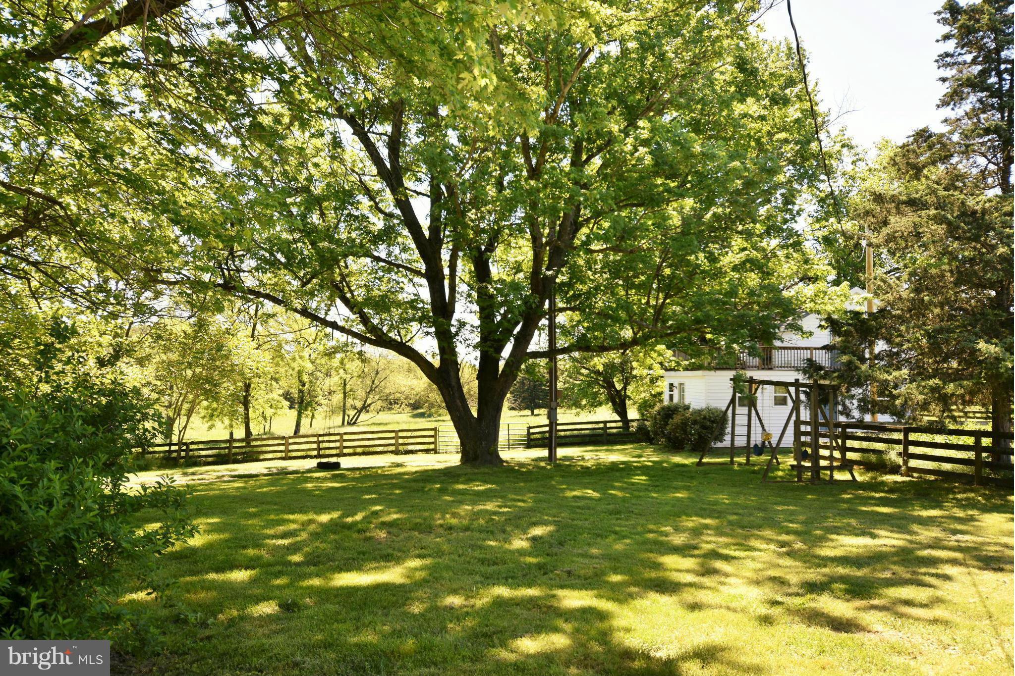 2011 Salem Church Road Stephens City, VA 22655 - Photo 10 of 30 Huge Mature Trees