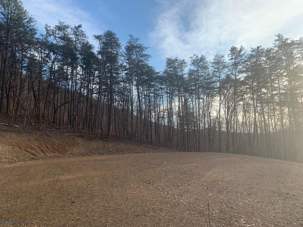 Lot I Clear Ridge Road Clearville, PA 15535 - Photo 4 of 24