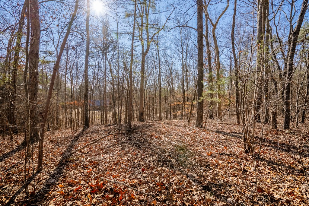 Lot 42 Quarles Road Rocky Face, GA 30740 - Photo 24 of 27 Gallery Image 24