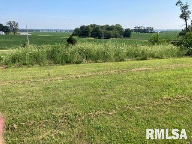 3901 229th St Circle North, Unit NORTH Port Byron, IL 61275 - Photo 4 of 11