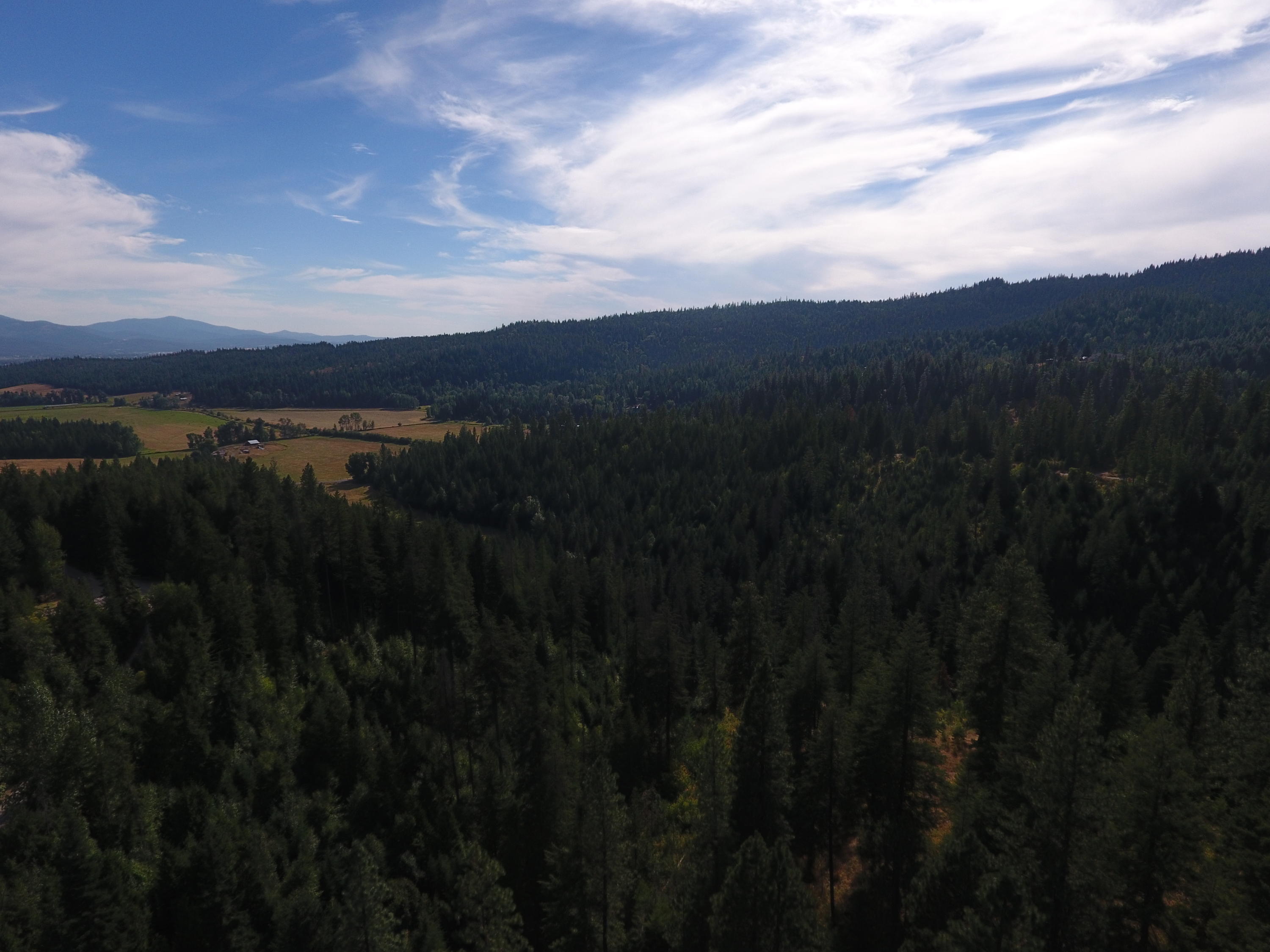 View from above