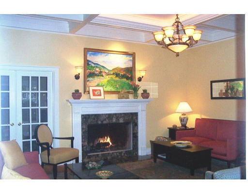 38 Meriam Street Lexington, MA 02420 - Photo 3 of 14 a living room with furniture and a fireplace