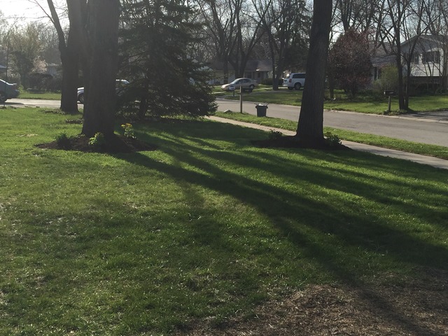 218 Thornhurst Road Bolingbrook, IL 60440 - Photo 5 of 25