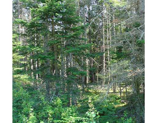 8 Peninsula Road Corea, ME 04624 - Photo 3 of 4 Land/Lot. Private and beautiful 20...
