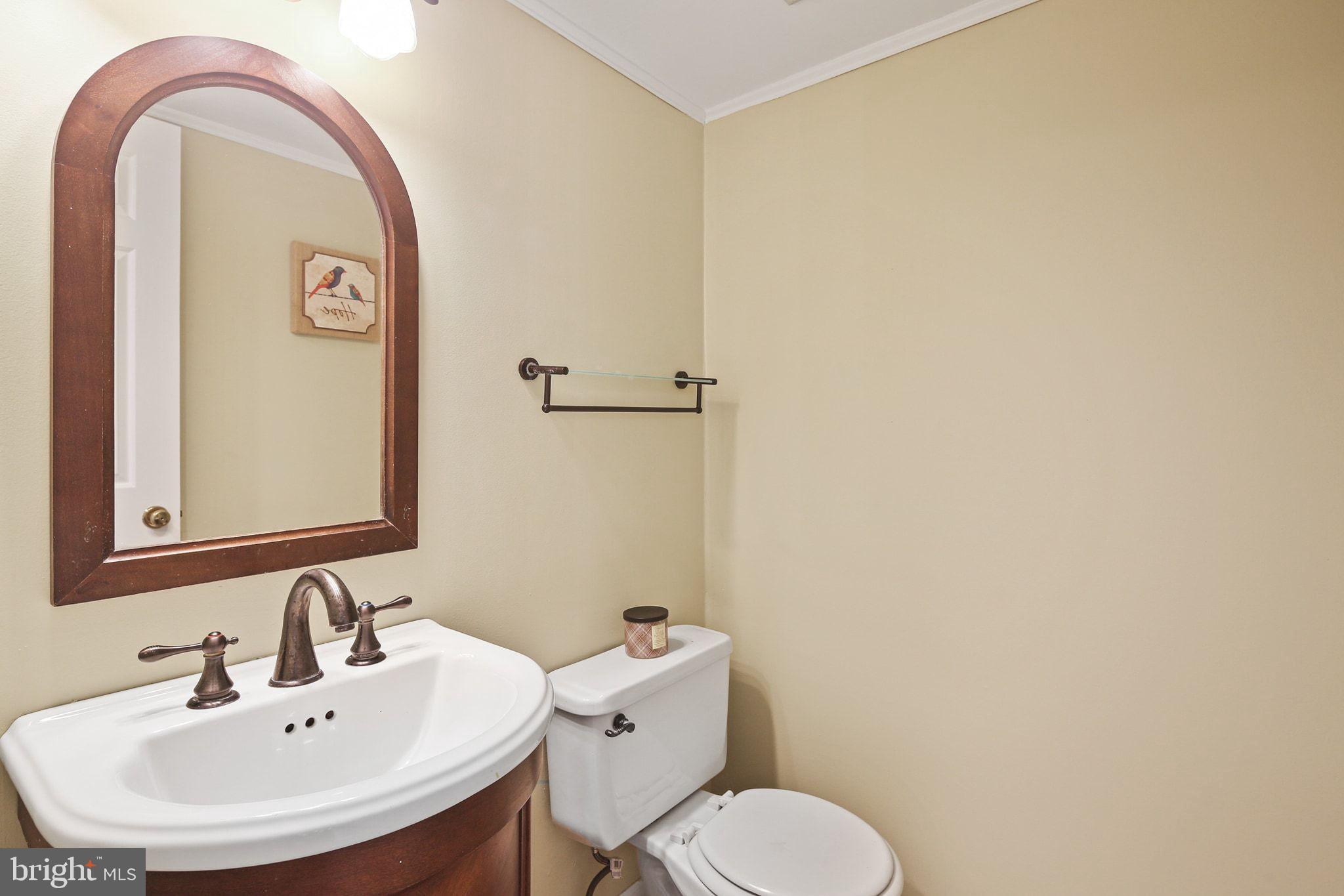 8205 Tall Trees Court Ellicott City, MD 21043 - Photo 16 of 37 Charming bathroom with elegant fixtures.