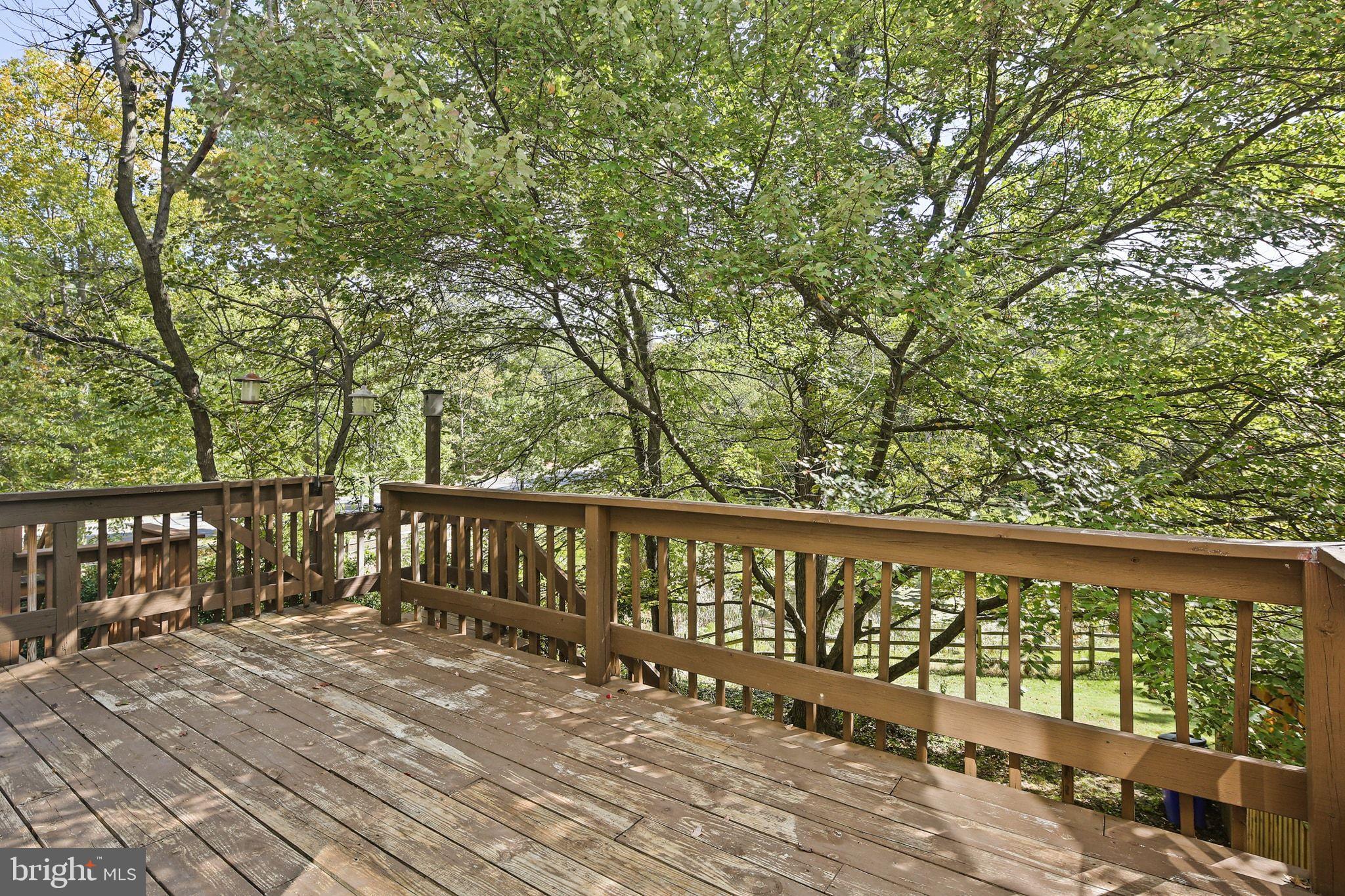 8205 Tall Trees Court Ellicott City, MD 21043 - Photo 34 of 37 Serene deck embraced by lush greenery.