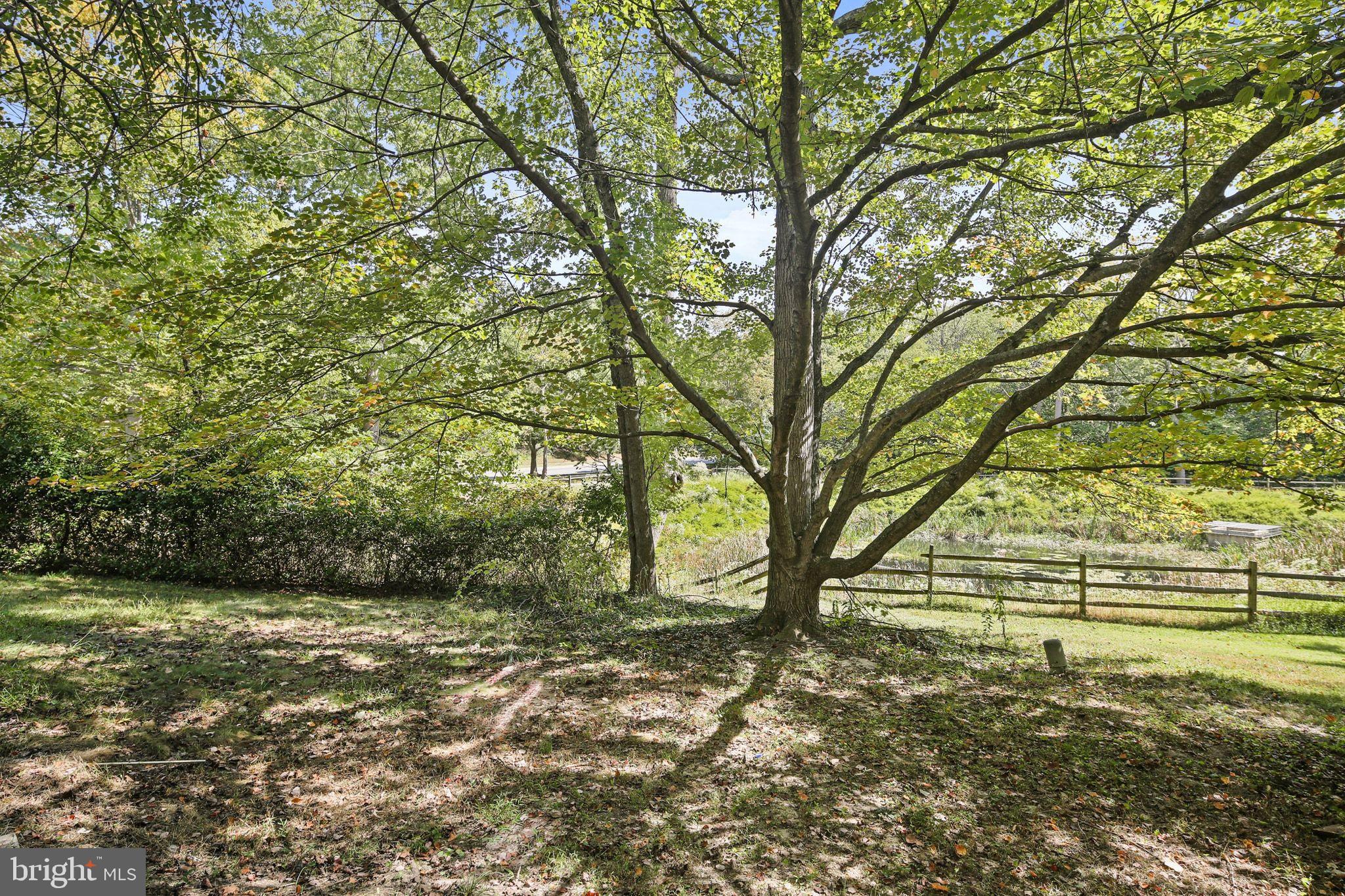 8205 Tall Trees Court Ellicott City, MD 21043 - Photo 37 of 37 Serene backyard oasis with lush greenery.