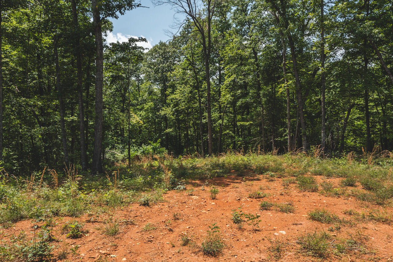 0 Lee Elgin Road Woolwine, VA 24185 - Photo 3 of 11 a backyard of a house with lots of green space