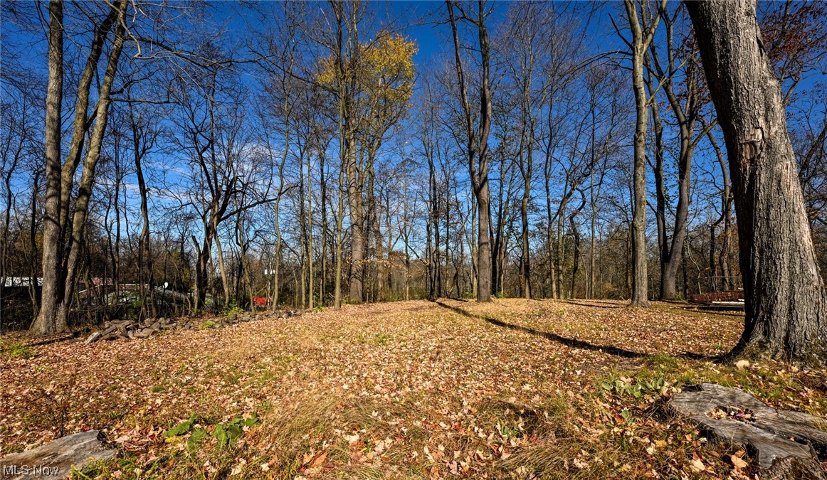 1509 McTaggart Road Stow, OH 44224 - Photo 4 of 30 Almost half an acre lot with beautiful wooded views