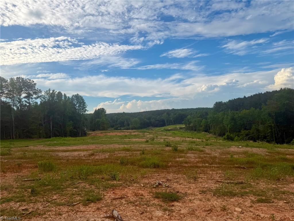 1000 Tarry Church Road Star, NC 27356 - Photo 10 of 10