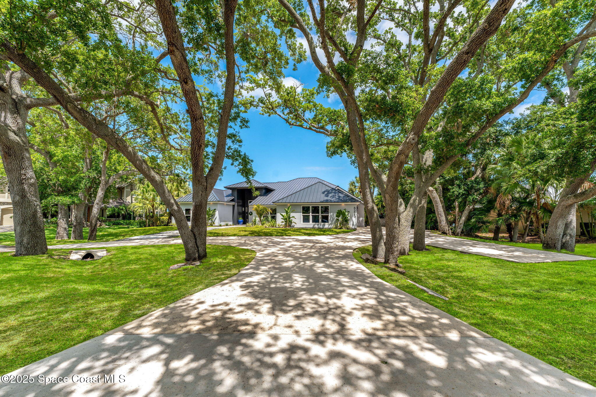 6225 Capstan Court Rockledge, FL 32955 - Photo 5 of 73 a view of a yard with plants and a large tree