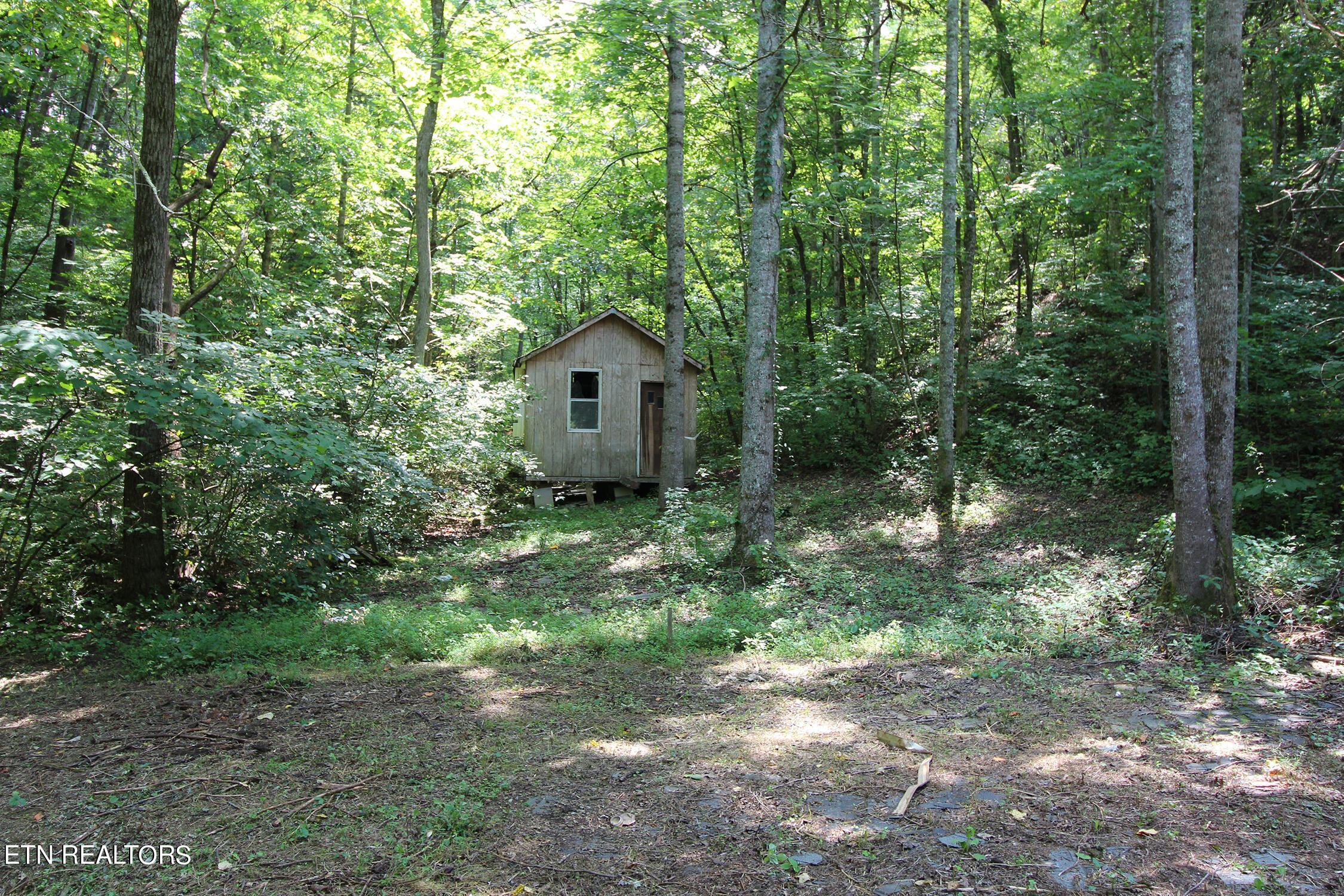 189 Alpha Road Newport, TN 37821 - Photo 31 of 41 IMG_0695