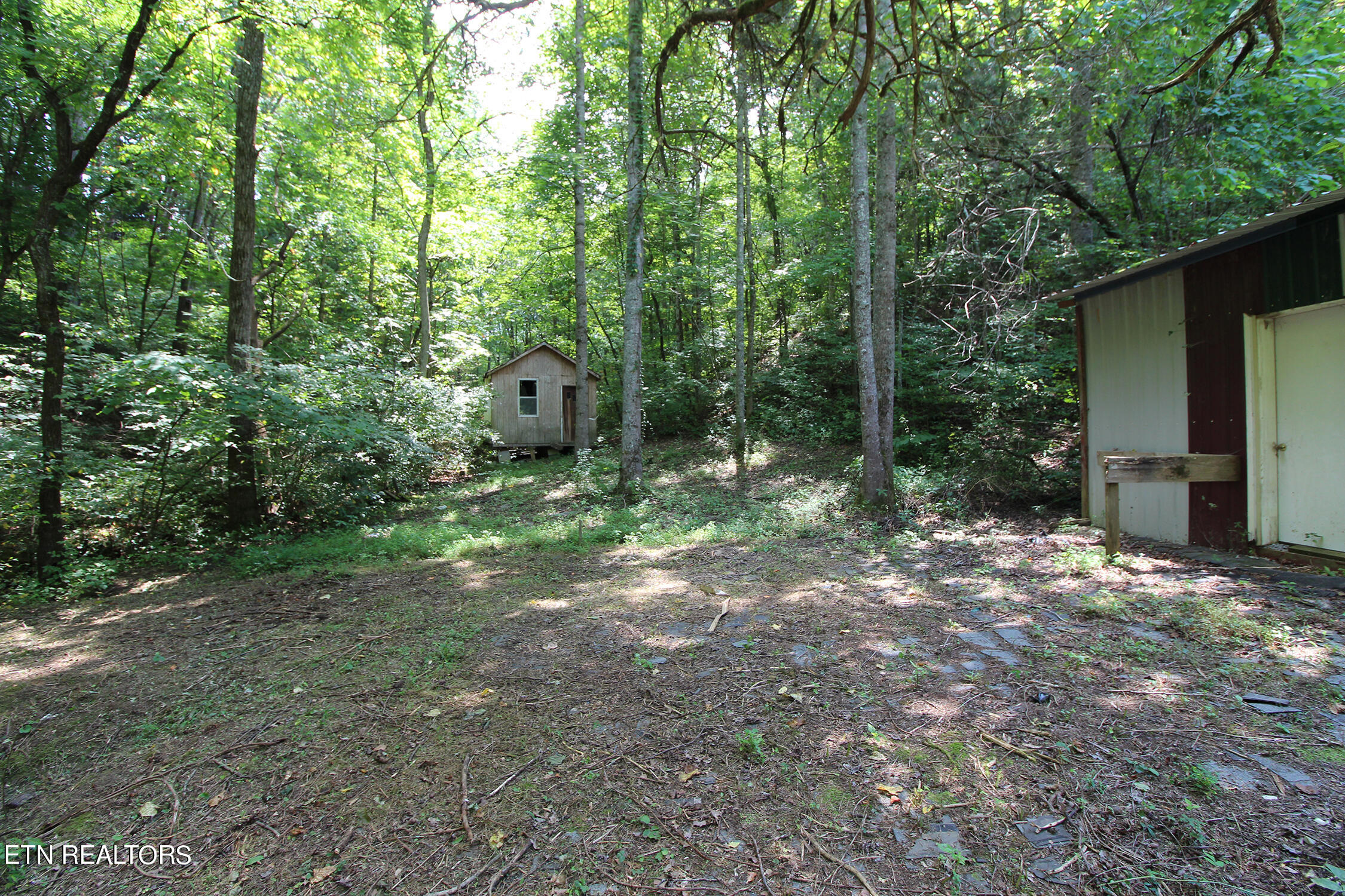 189 Alpha Road Newport, TN 37821 - Photo 32 of 41 IMG_0696