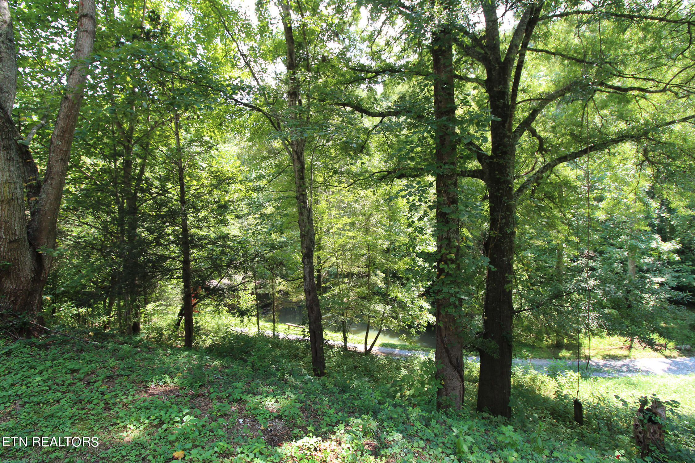 189 Alpha Road Newport, TN 37821 - Photo 35 of 41 IMG_0703