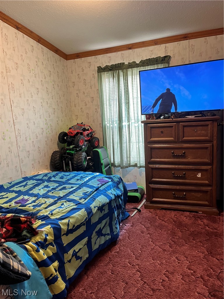 64725 Sundew Road Cambridge, OH 43725 - Photo 27 of 27 Bedroom with a textured ceiling, dark carpet, and crown molding