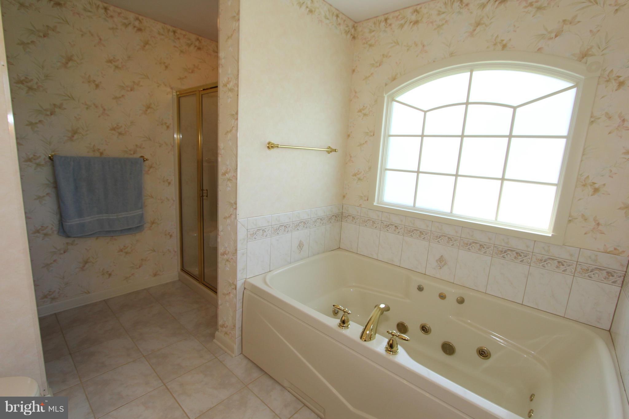 7901 Edgewood Farm Road Frederick, MD 21702 - Photo 12 of 29 Bath (Master)