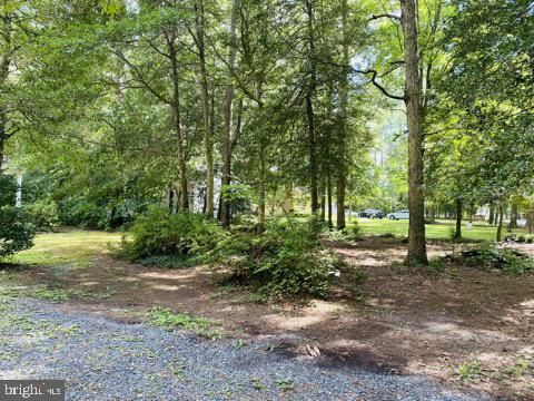 1315 Toadvine Road Salisbury, MD 21804 - Photo 3 of 18 Gallery Image 3