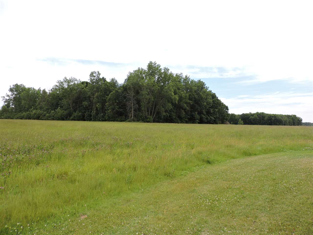 2386 North Flajole Road Rhodes, MI 48652 - Photo 21 of 22