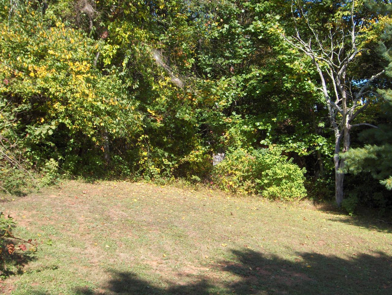 Yard View