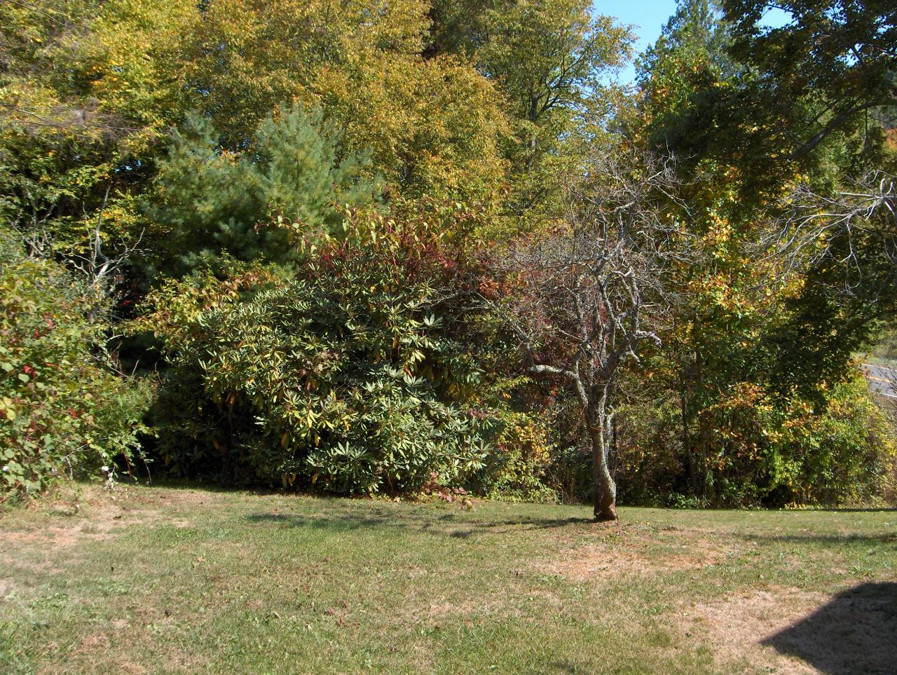 Add't yard view