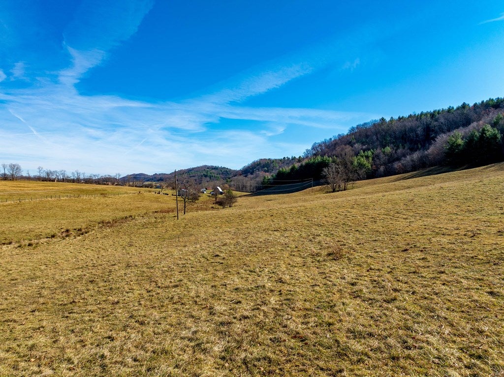 Tbd Gap Of Ridge Road Rural Retreat, VA 24368 - Photo 37 of 85 Gallery Image 37