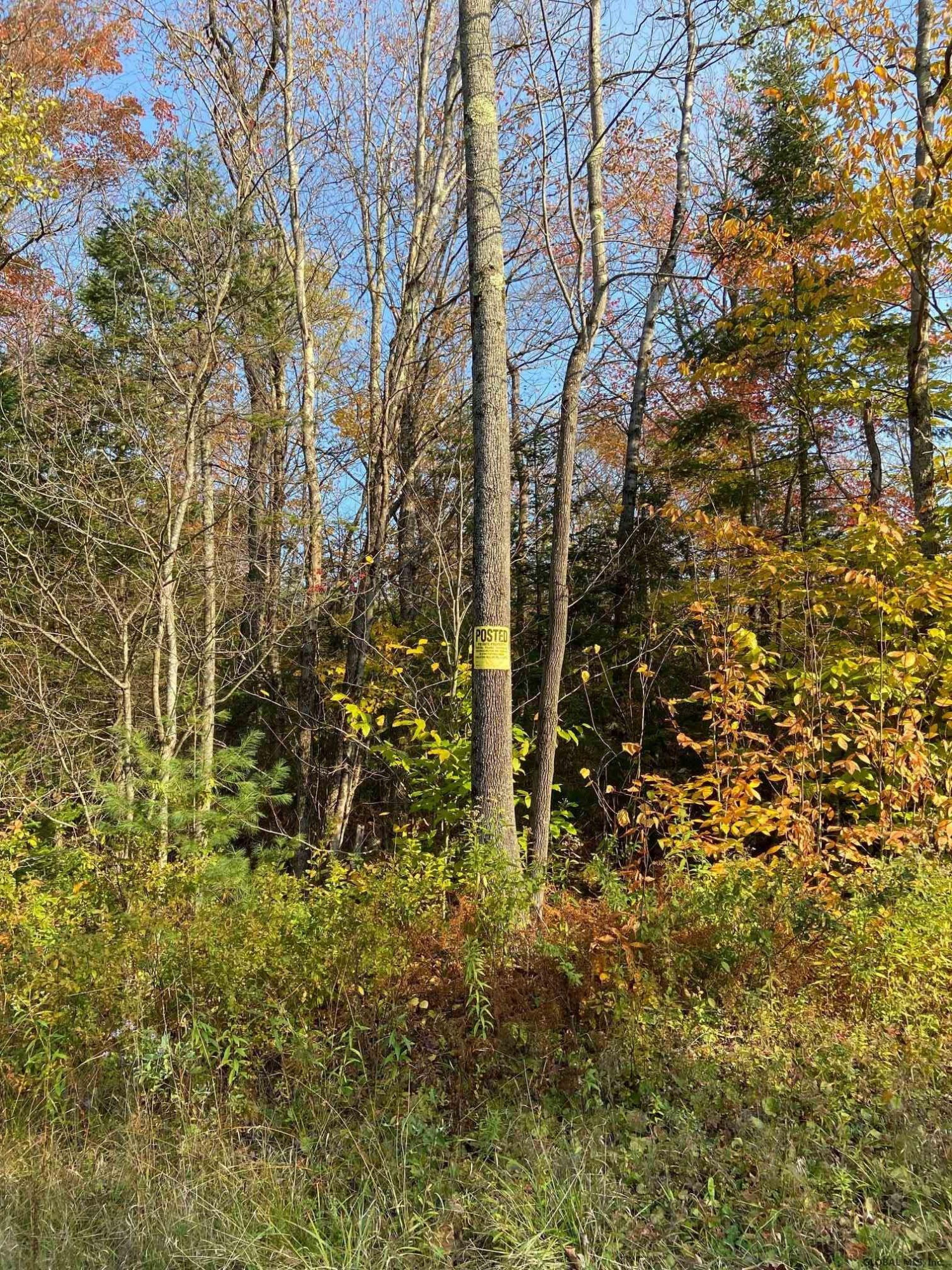 575 Lake Desolation Road Greenfield, NY 12859 - Photo 3 of 10 Photo 3