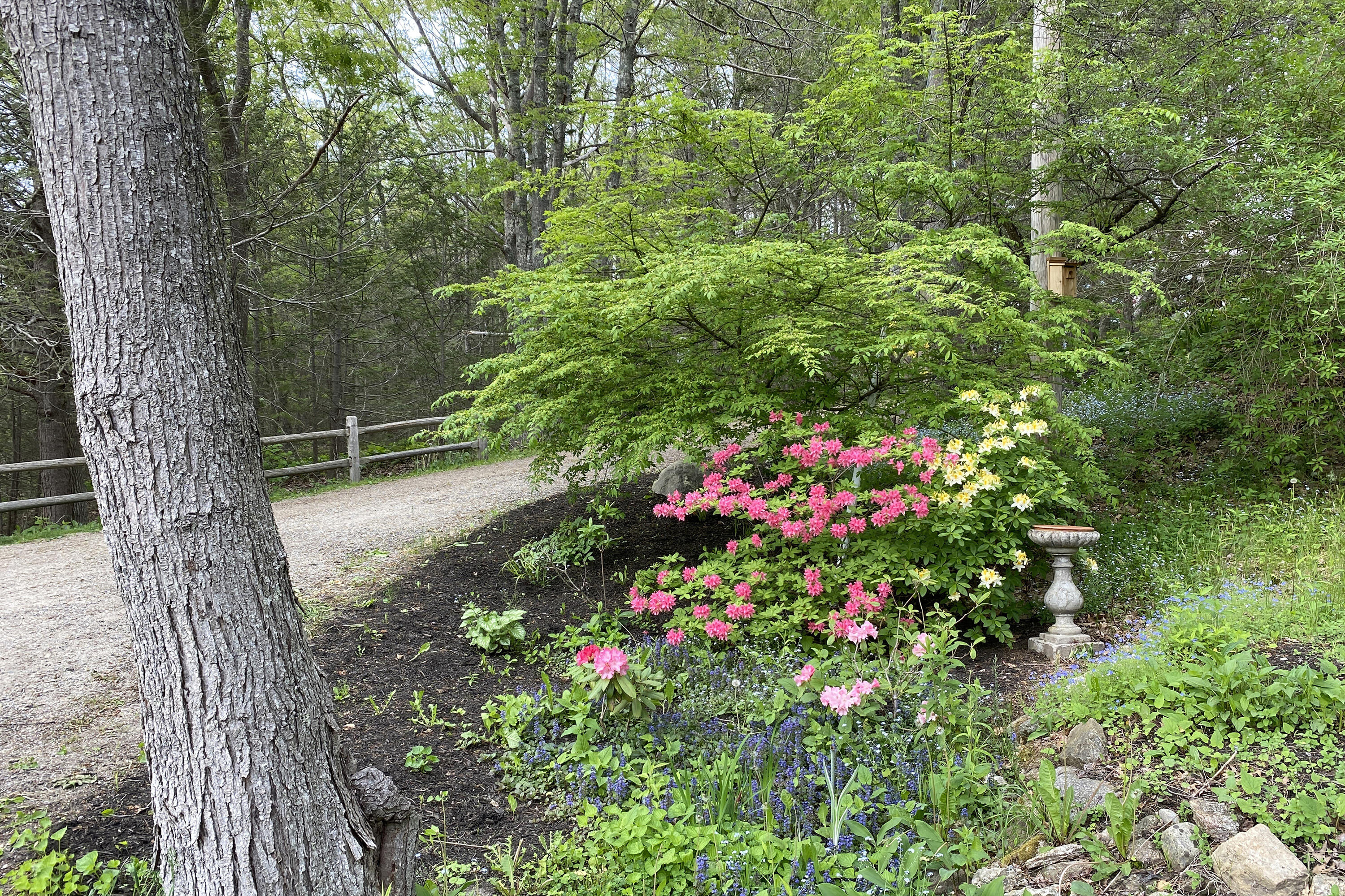 82 Rockweed Road West Bath, ME 04530 - Photo 2 of 48 2. Driveway