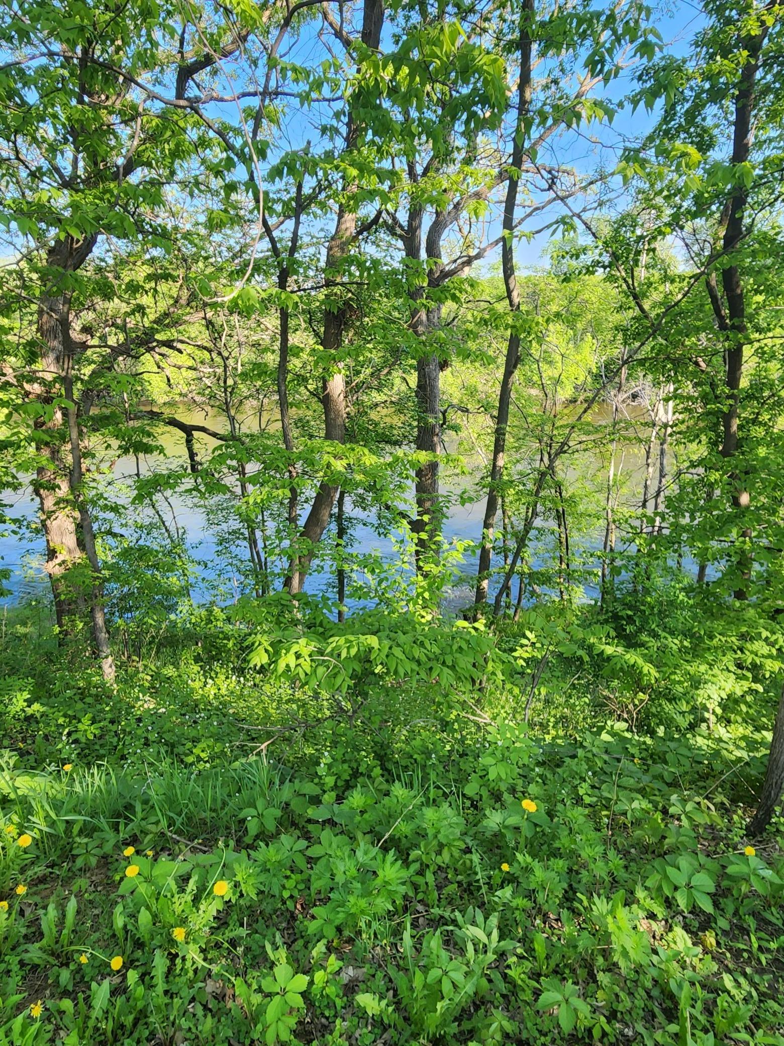 Xxxxx Riverview Road Northeast Hanover, MN 55341 - Photo 1 of 6 Gallery Image 1
