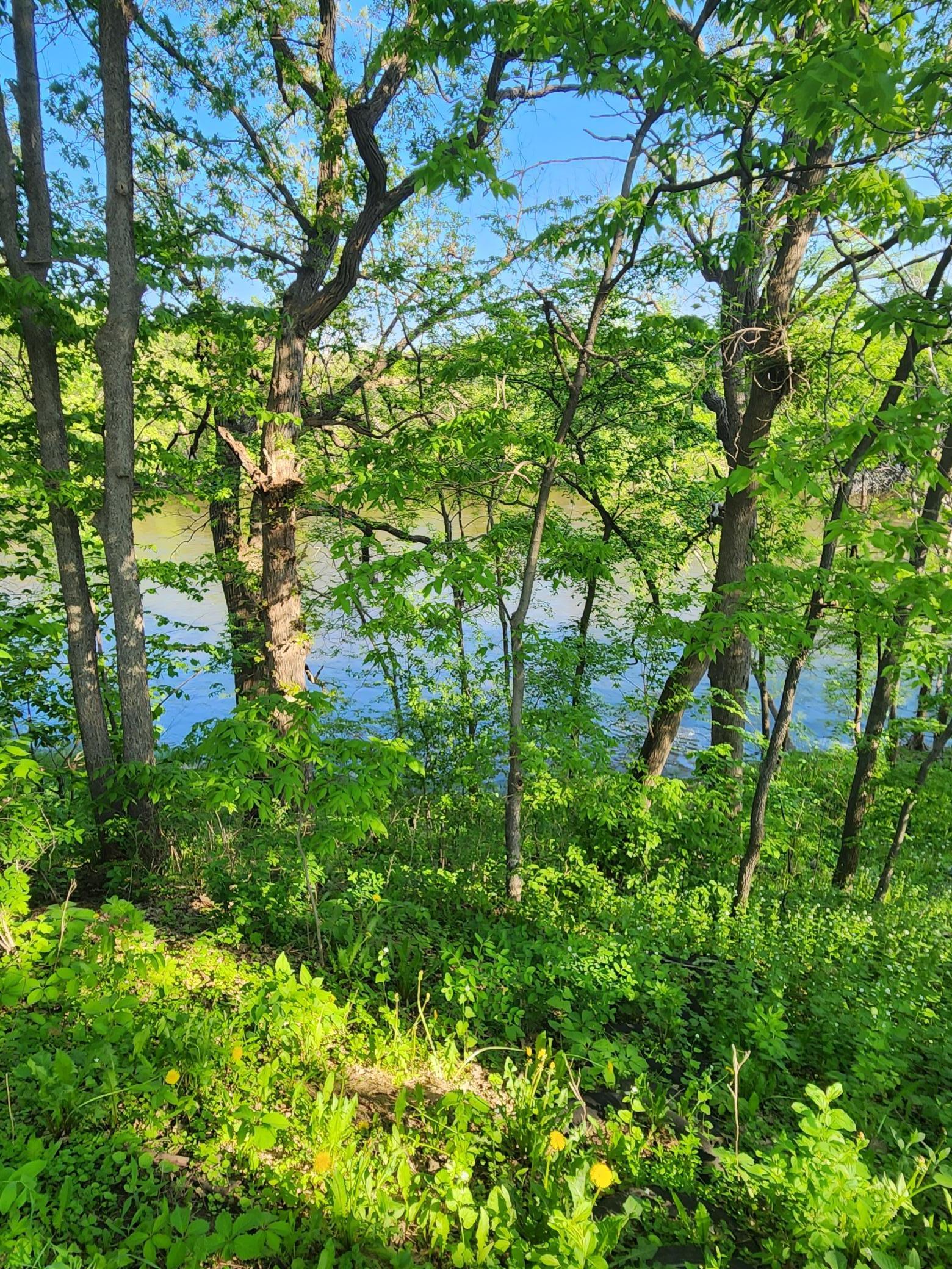 Xxxxx Riverview Road Northeast Hanover, MN 55341 - Photo 6 of 6 Gallery Image 6