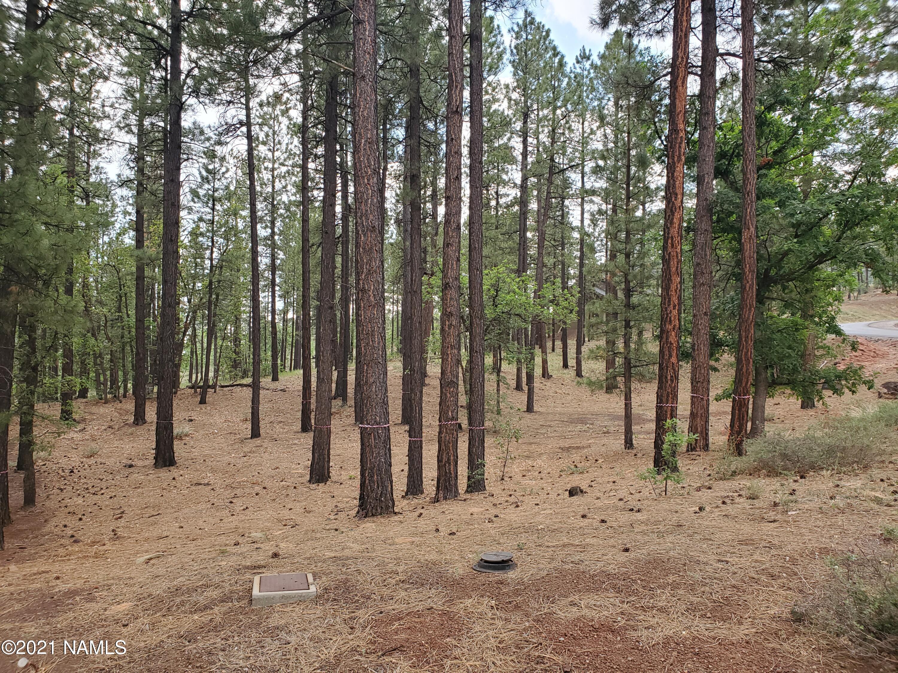 4735 South Flagstaff Ranch Road, Unit 115 Flagstaff, AZ 86005 - Photo 3 of 10 2021-06-30 11.27.31