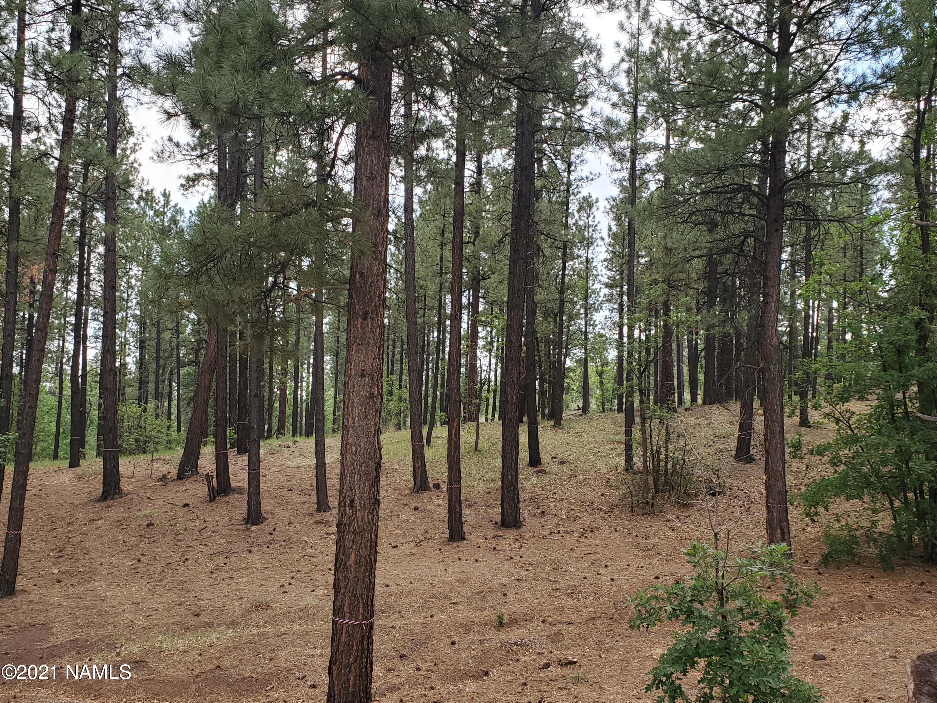 4735 South Flagstaff Ranch Road, Unit 115 Flagstaff, AZ 86005 - Photo 4 of 10 2021-06-30 11.28.42