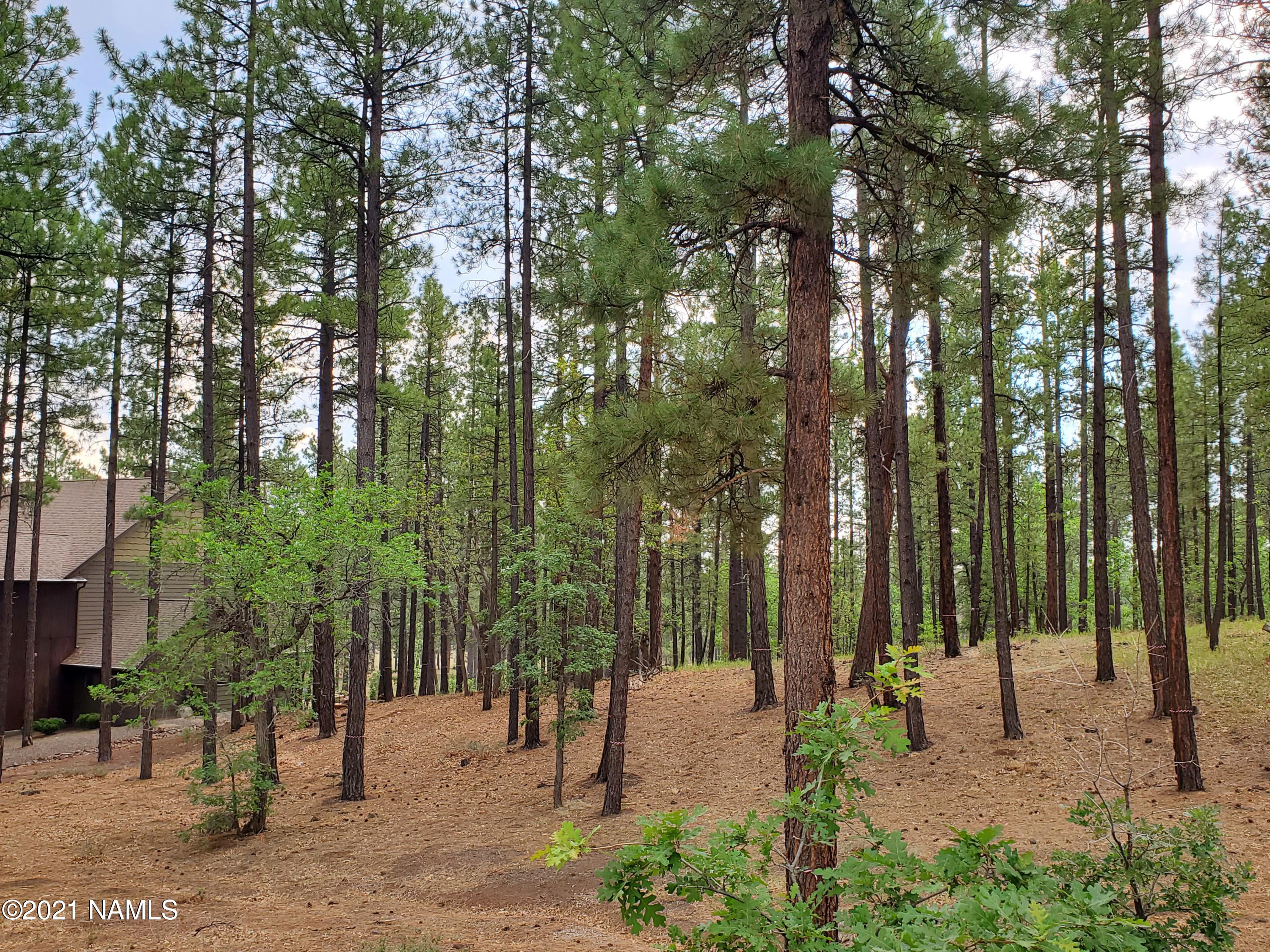 4735 South Flagstaff Ranch Road, Unit 115 Flagstaff, AZ 86005 - Photo 5 of 10 2021-06-30 11.28.54