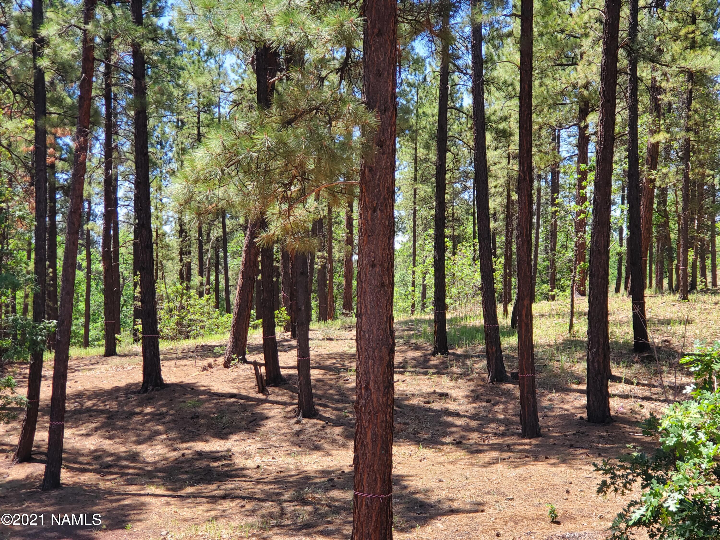 4735 South Flagstaff Ranch Road, Unit 115 Flagstaff, AZ 86005 - Photo 6 of 10 2021-07-07 10.56.51