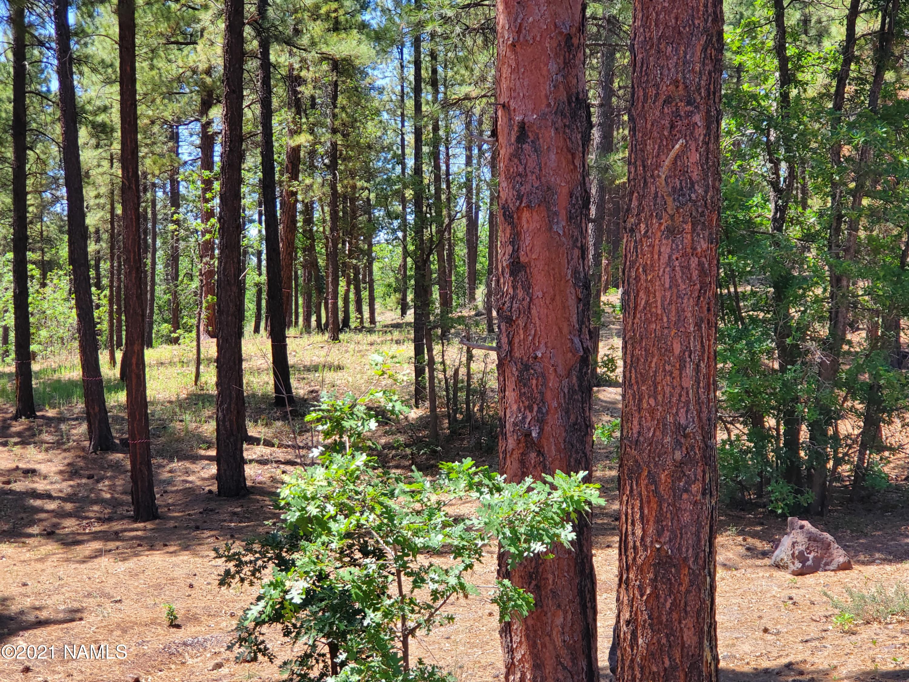 4735 South Flagstaff Ranch Road, Unit 115 Flagstaff, AZ 86005 - Photo 7 of 10 2021-07-07 10.56.55