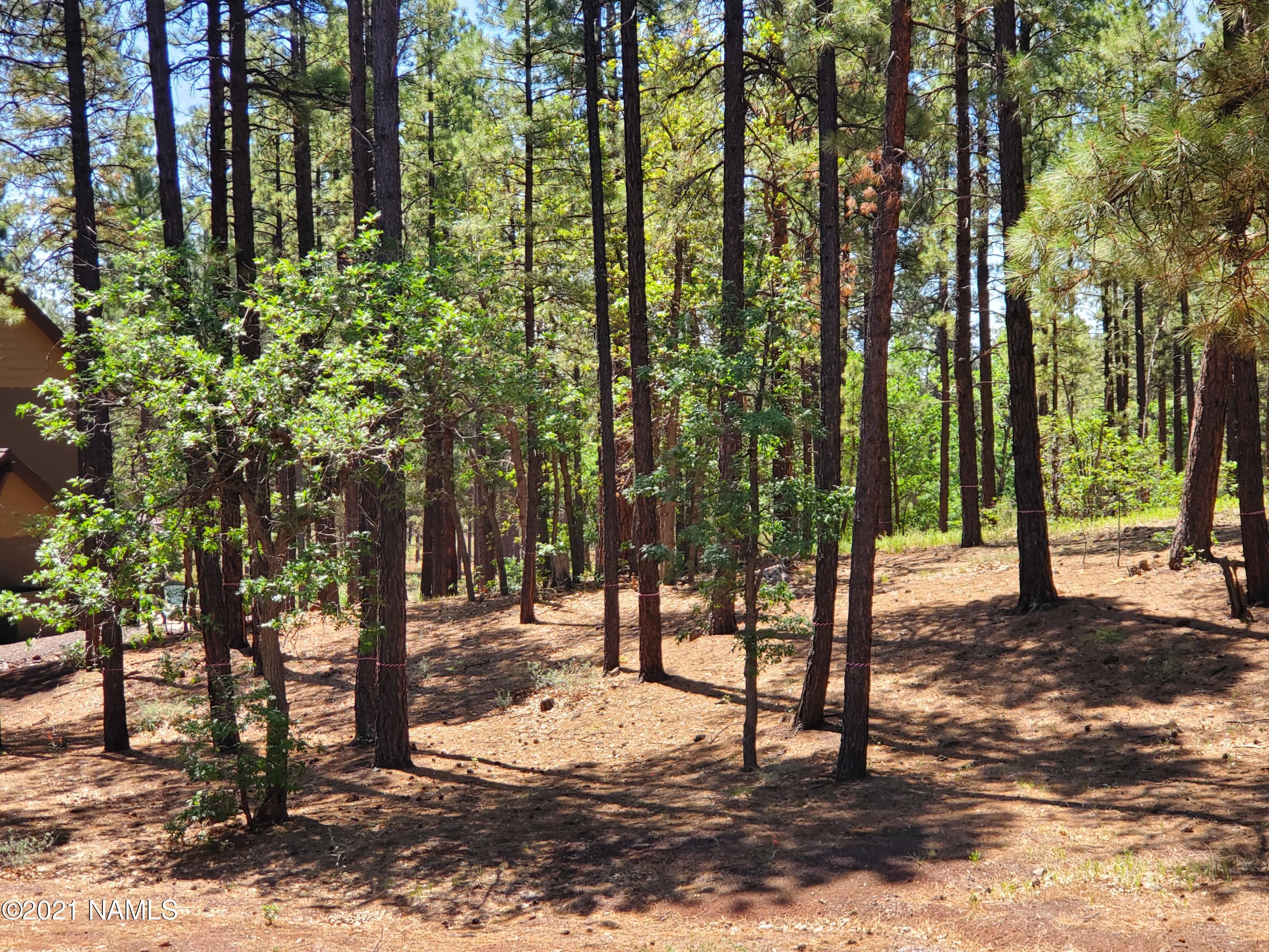 4735 South Flagstaff Ranch Road, Unit 115 Flagstaff, AZ 86005 - Photo 8 of 10 2021-07-07 10.57.00