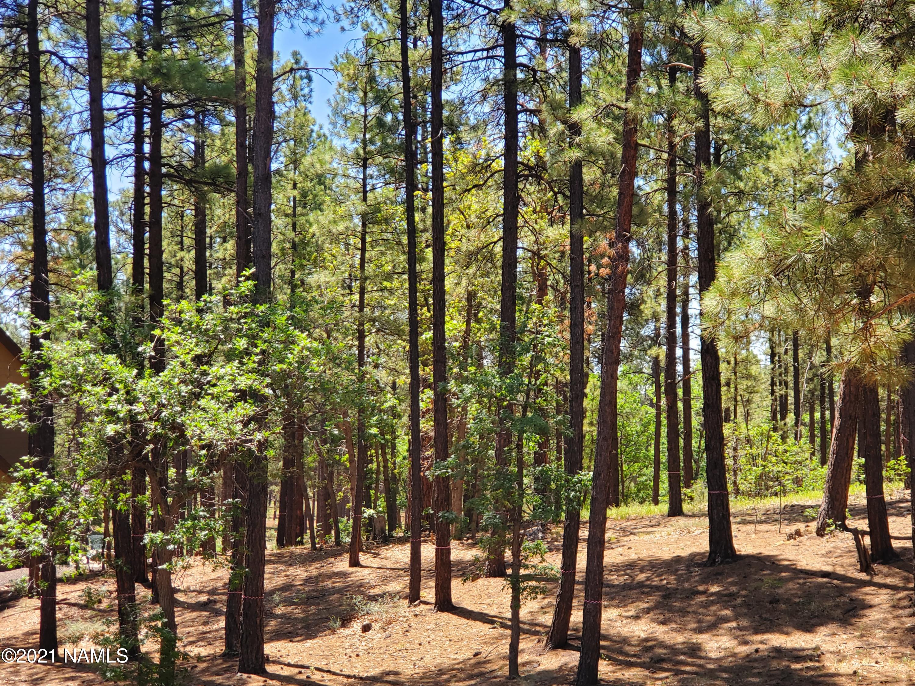 4735 South Flagstaff Ranch Road, Unit 115 Flagstaff, AZ 86005 - Photo 9 of 10 2021-07-07 10.57.05