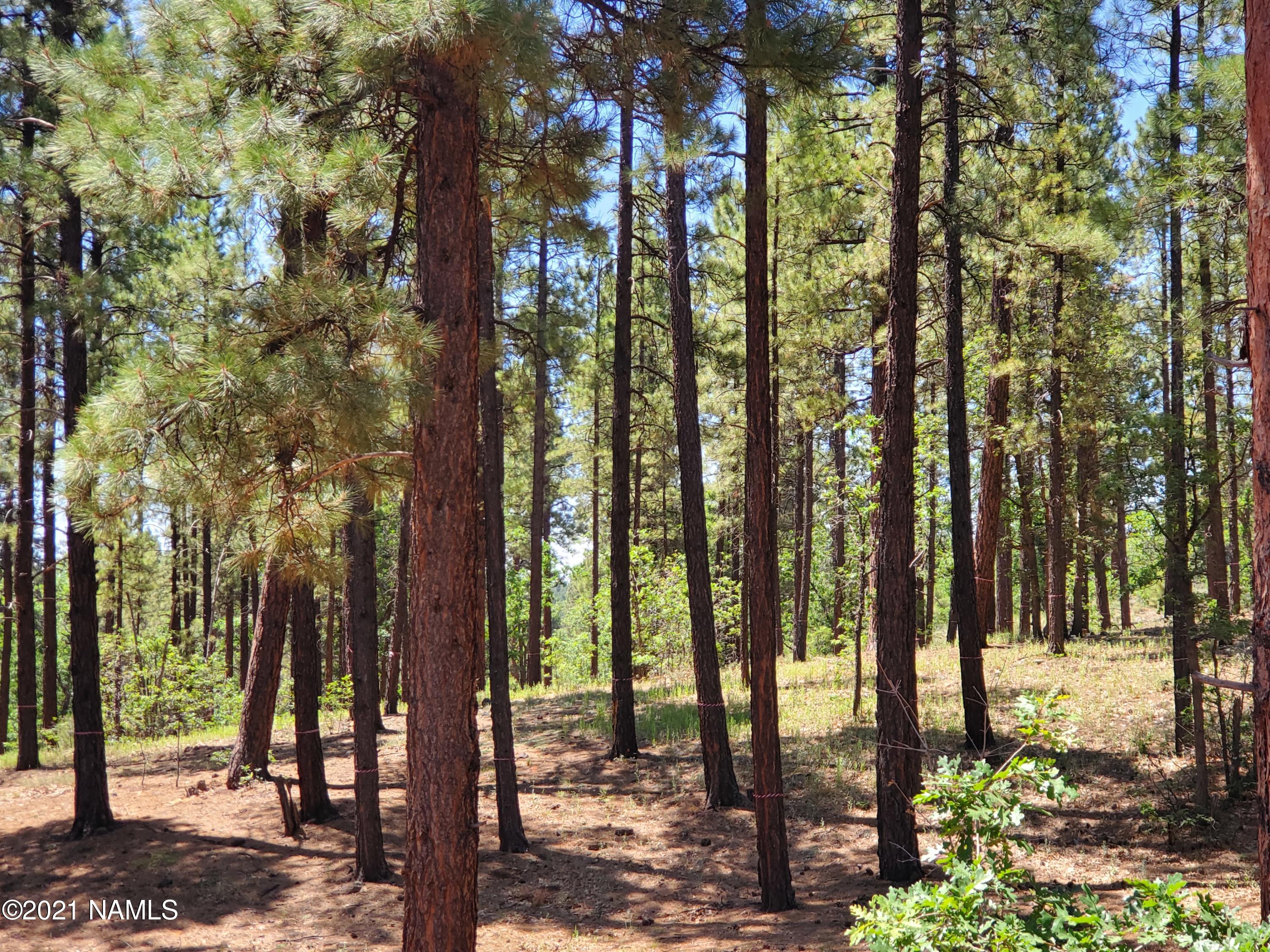 4735 South Flagstaff Ranch Road, Unit 115 Flagstaff, AZ 86005 - Photo 10 of 10 2021-07-07 10.57.09