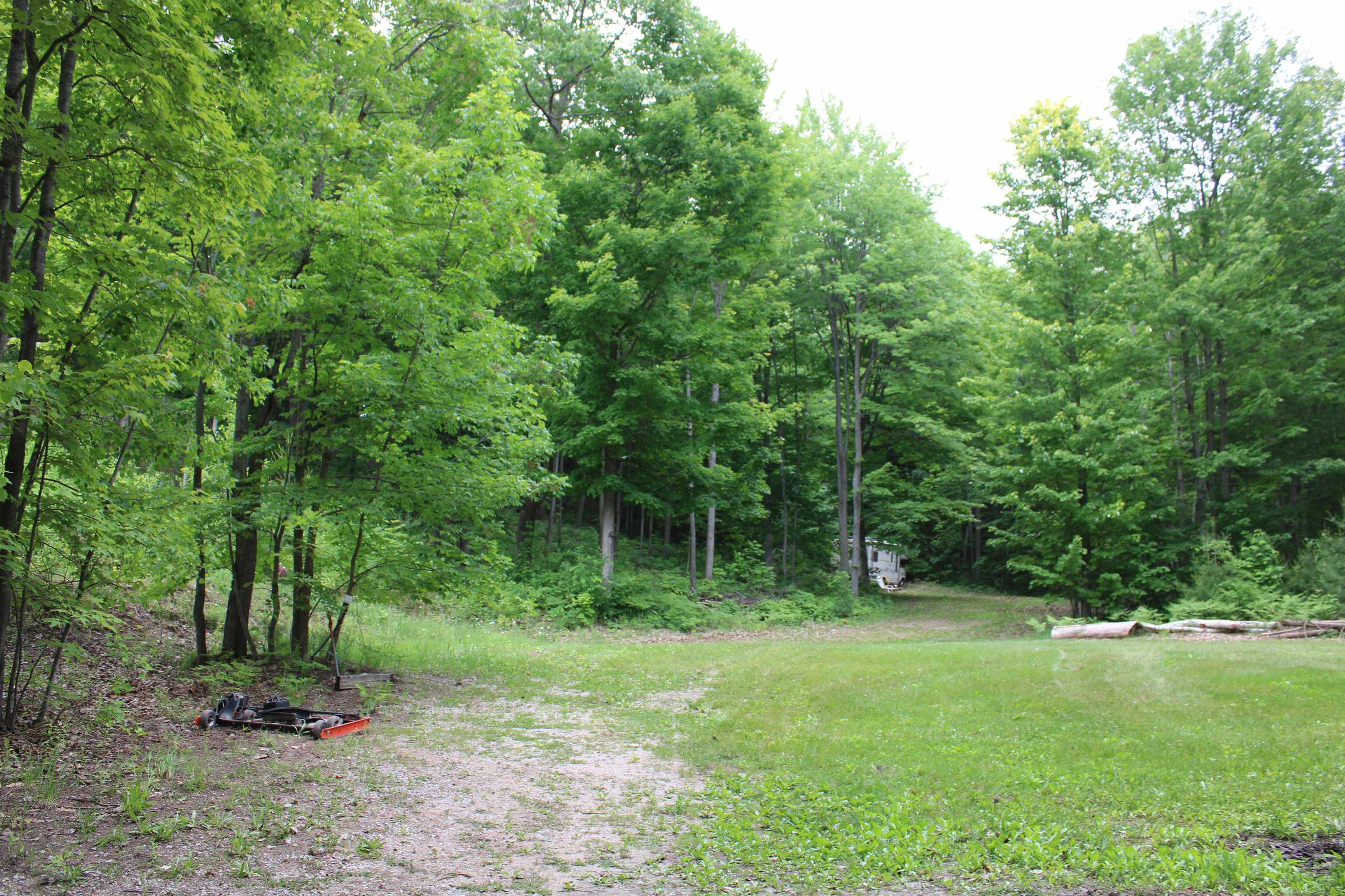 Wagner Rd Lake Lake Ann, MI 49650 - Photo 2 of 5