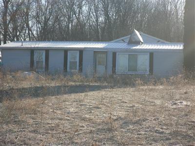 10451 Jackson Road Lake Odessa, MI 48849 - Photo 3 of 6 Additional Photo