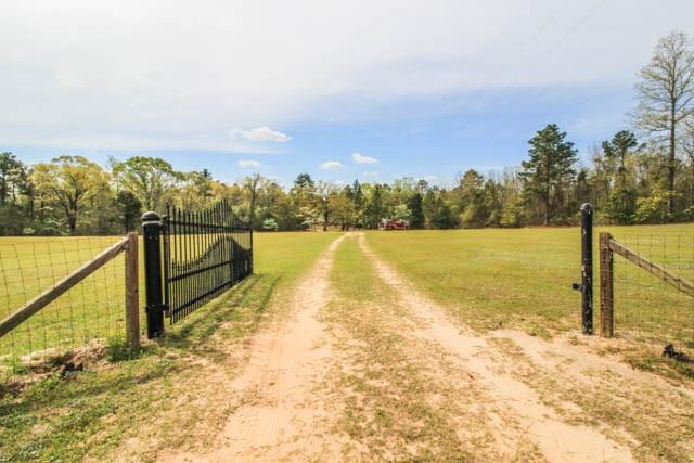 2749 Backbone Ridge Road Buena Vista, GA 31803 - Photo 1 of 37 Main View