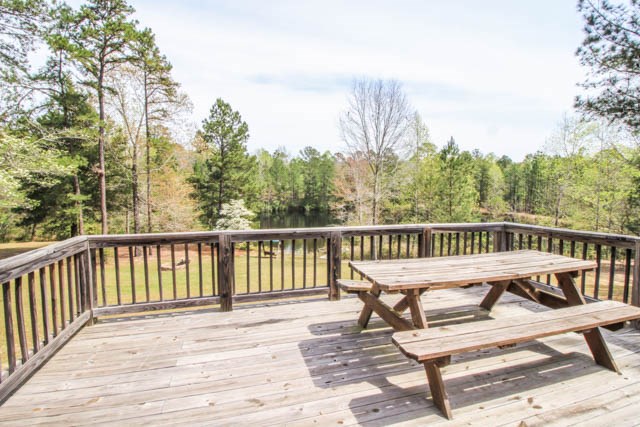 2749 Backbone Ridge Road Buena Vista, GA 31803 - Photo 14 of 37 Gallery Image 14