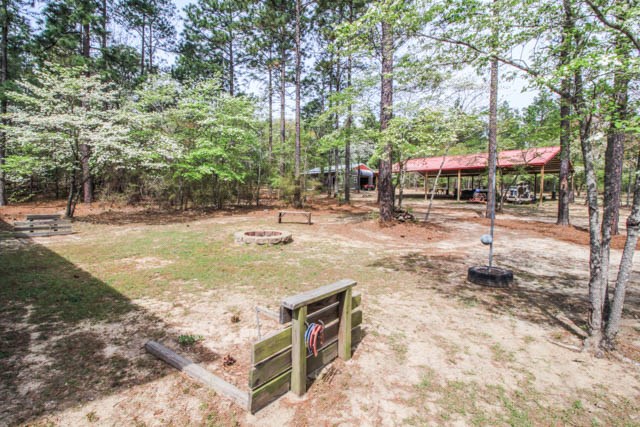 2749 Backbone Ridge Road Buena Vista, GA 31803 - Photo 16 of 37 Gallery Image 16