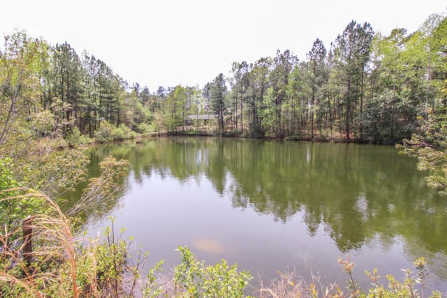 2749 Backbone Ridge Road Buena Vista, GA 31803 - Photo 20 of 37 Gallery Image 20